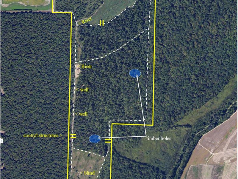 225 Acres Proven Duck Hunting Land For Sale In Dyersburg Dyer County Tennessee Landflip