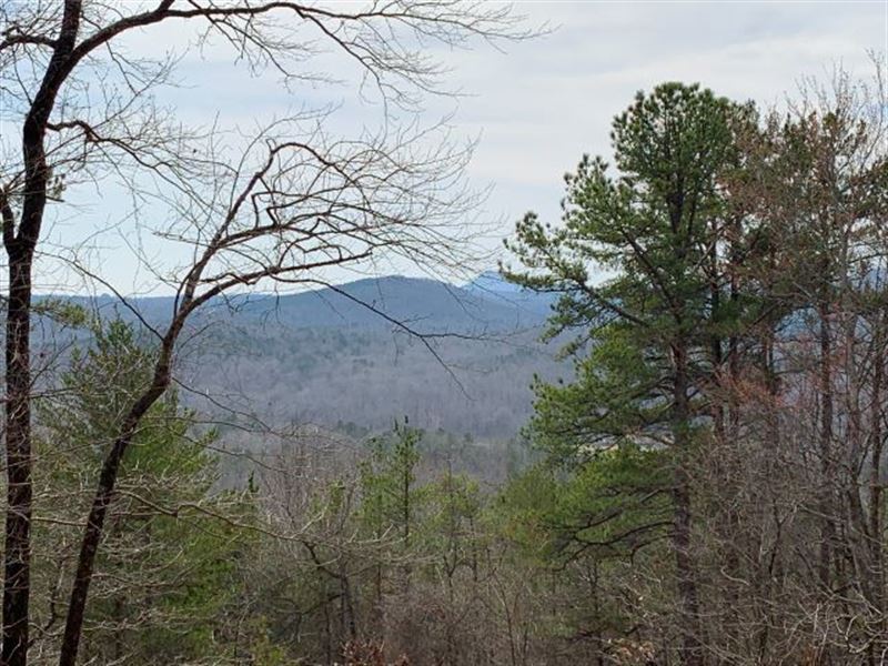 N. Ga. Mtn. Land Joins Nat'l Forest : Toccoa : Stephens County : Georgia