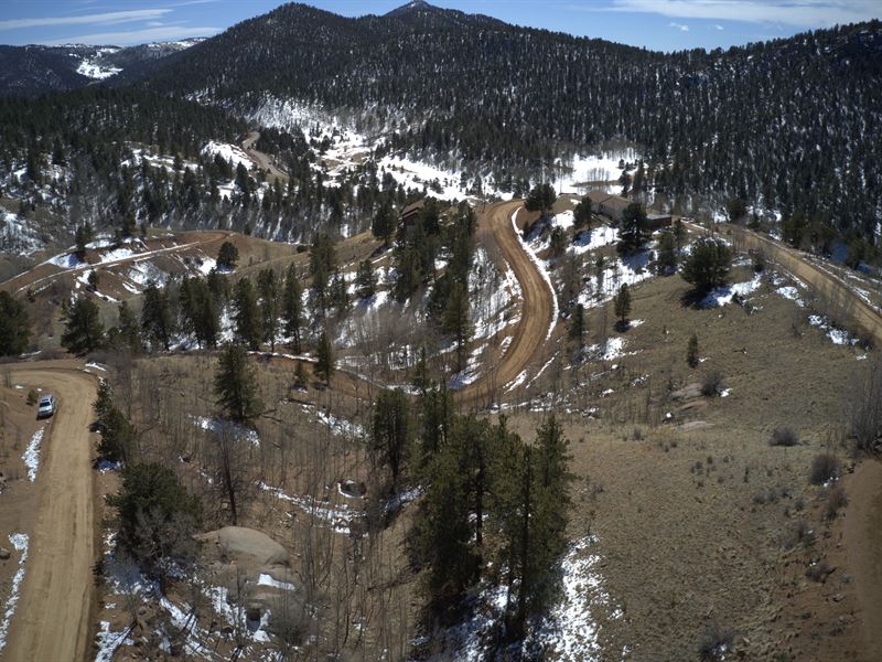 1.4 Acre Mountain Getaway : Cripple Creek : Teller County : Colorado