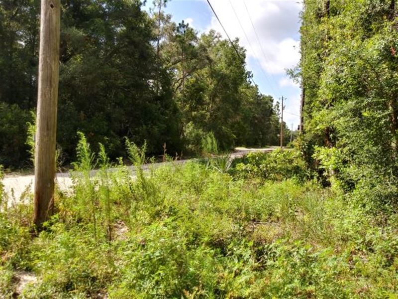 Affordable Lot at a Great Location : Chiefland : Levy County : Florida