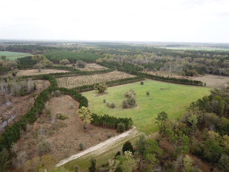 As Good as it Gets : Gordon : Houston County : Alabama