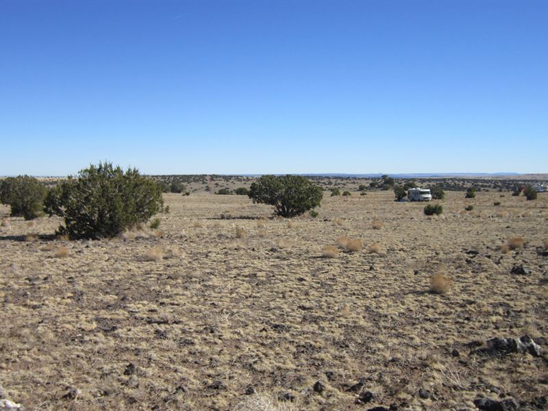 Concho Area Corner Lot Off Grid Land for Sale by Owner in Concho