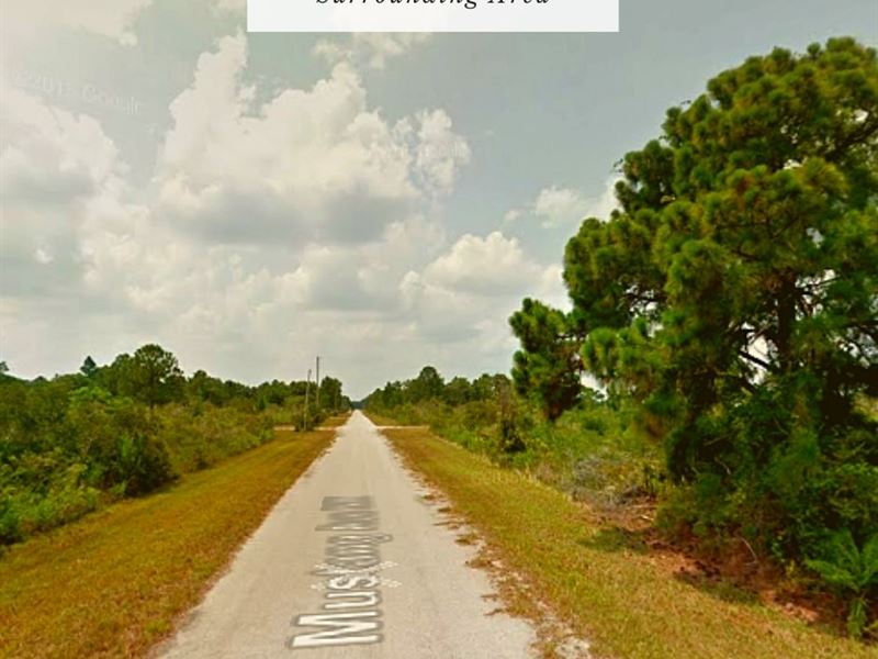 .25 Acres Only $1Dn, $199/Mo : Lake Placid : Highlands County : Florida