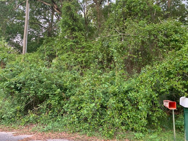 .24 Acres for Sale in Silver Spring : Silver Springs : Marion County : Florida