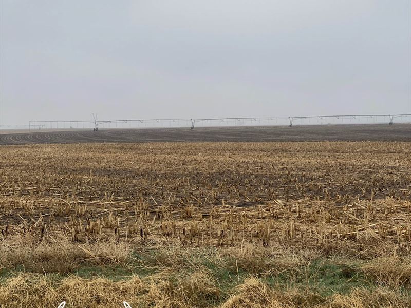 146 Acres M/L Ford County Kansas : Dodge City : Ford County : Kansas