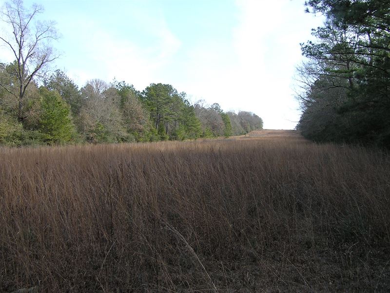 Beautiful 27 Acres : Prattville : Autauga County : Alabama
