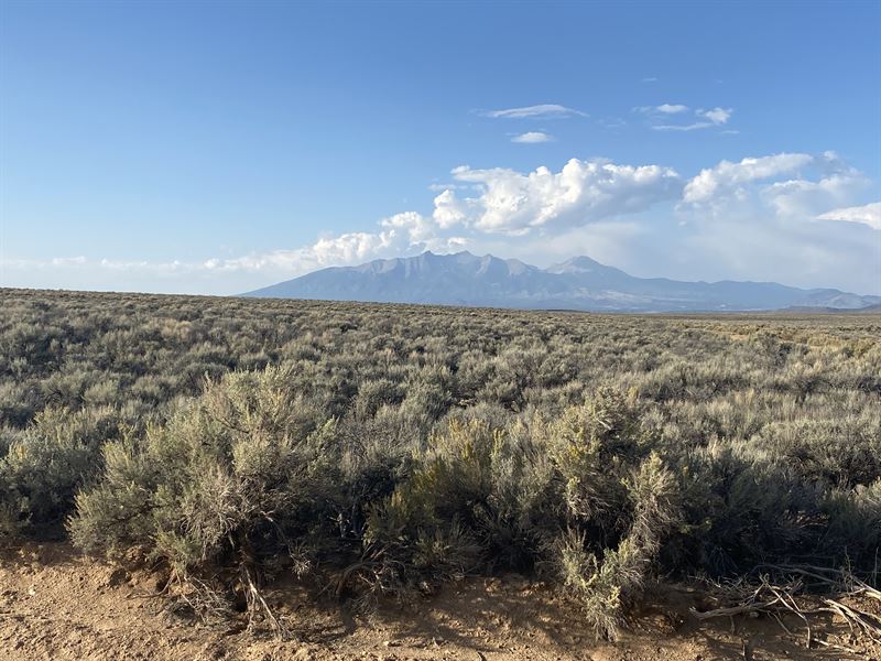 Stop in The Name of Land : San Luis : Costilla County : Colorado