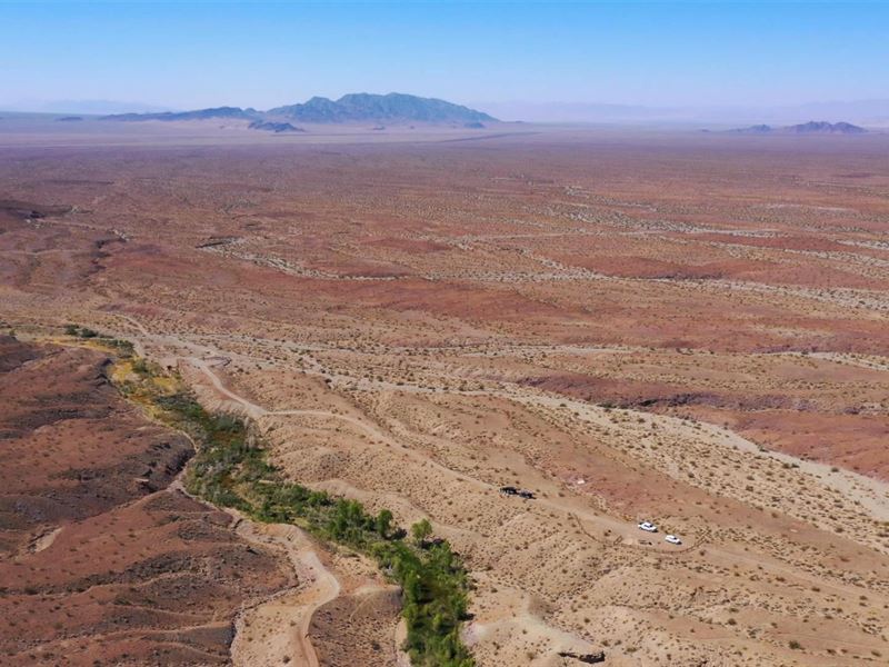 Discriminate Quarter-Acre Mojave : California City : Kern County : California