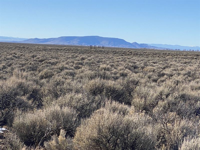 2.5 Acres in The Wild Horse Mesa : San Luis : Costilla County : Colorado