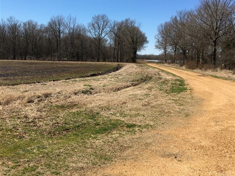 Woodruff County 160 Acre Tract : McCrory : Woodruff County : Arkansas