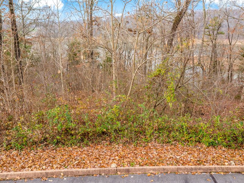 Liquidation Lot in Shiloh Springs : Rutledge : Grainger County : Tennessee