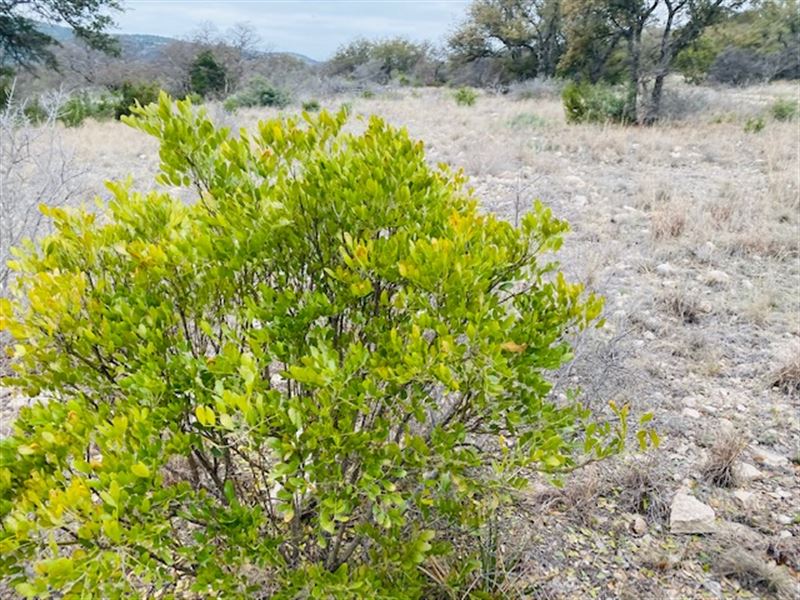 Oak Bend Ranch, Lot 64 Electricity : Rocksprings : Edwards County : Texas