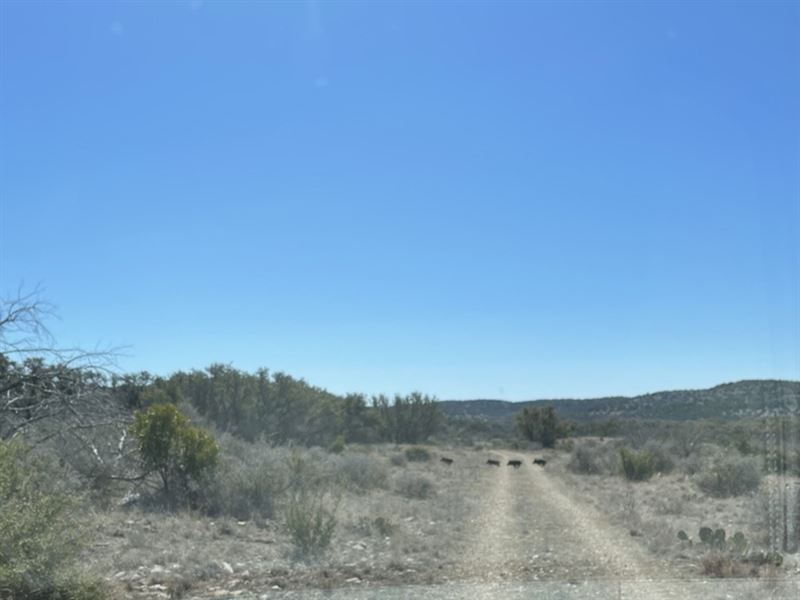 Oak Bend Ranch, Lot 71 Electricity : Rocksprings : Edwards County : Texas