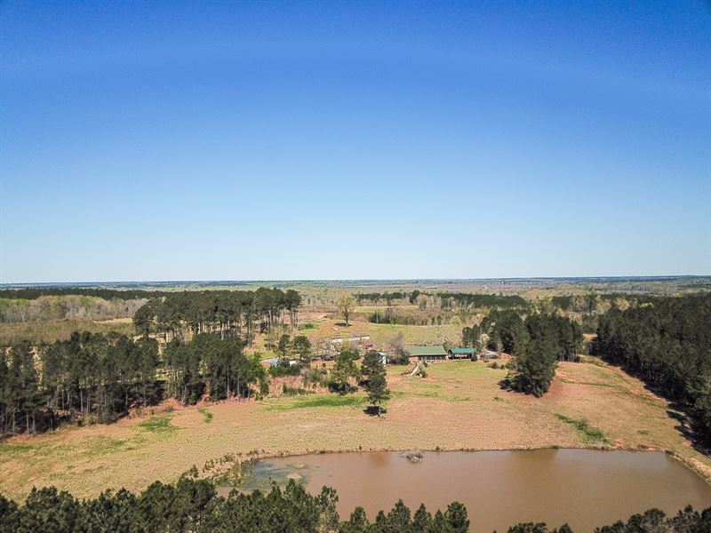 Double D Farms : Saluda : Saluda County : South Carolina