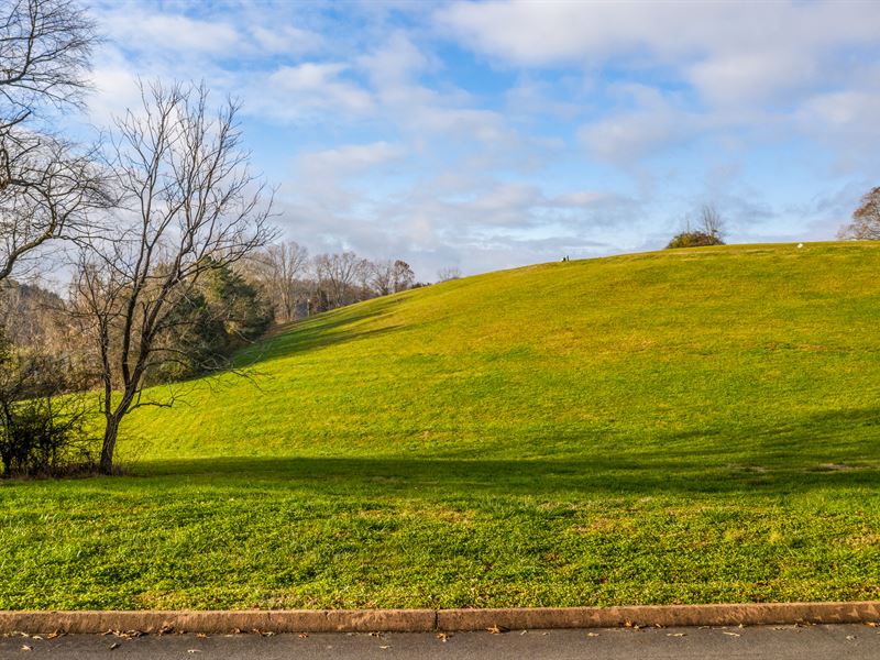 Liquidation, 3/4 Acre Building Lot : Rutledge : Grainger County : Tennessee