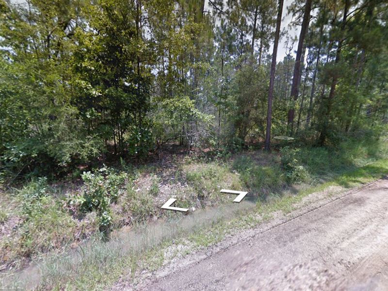 Perfect Lot Not Far From The Beach : Bay Saint Louis : Hancock County : Mississippi