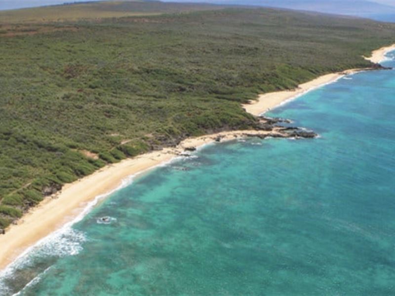 Hawaii Sanctuary, Self Sustainable : Maunaloa : Maui County : Hawaii
