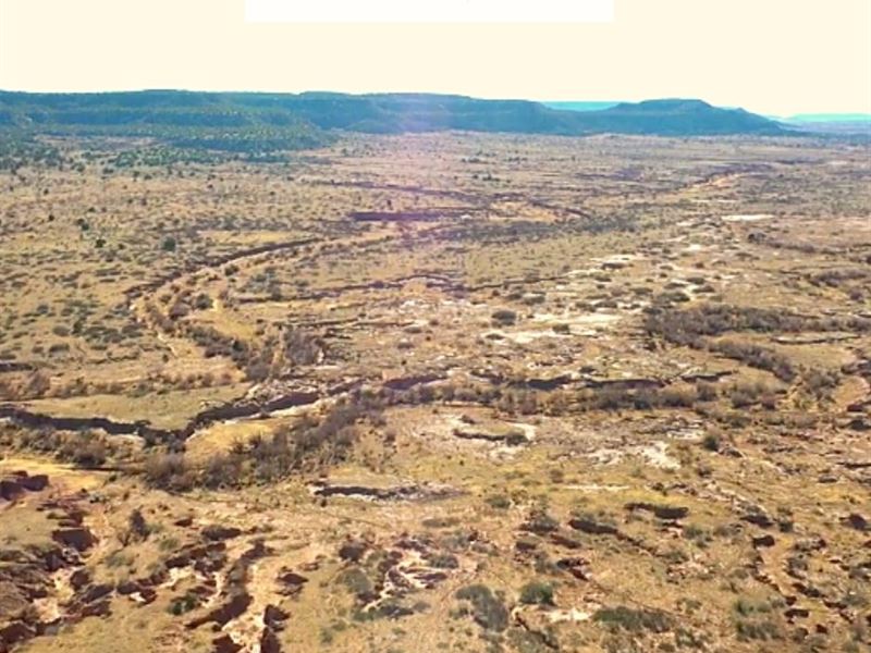 5 Acres Only $1Down, $199/Mo : Garita : San Miguel County : New Mexico