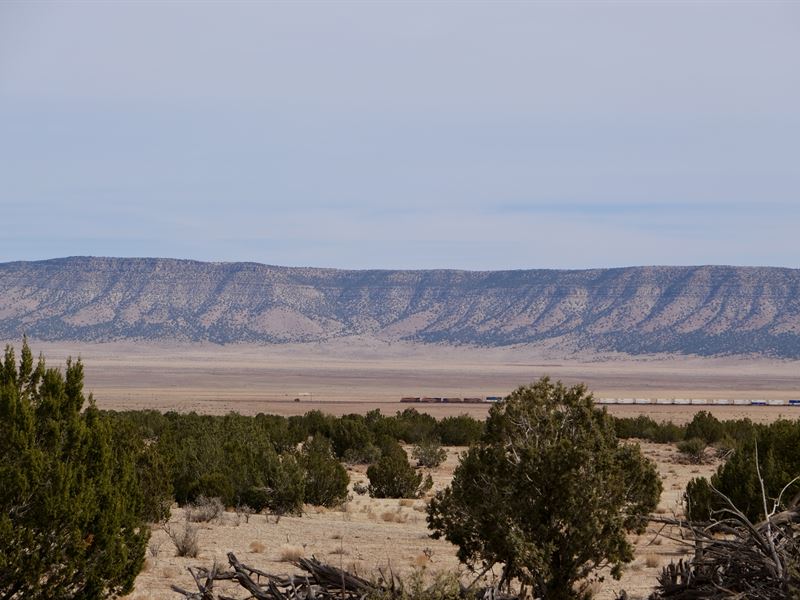 Buy 1 Acre Get Access to 656 Free : Seligman : Yavapai County : Arizona