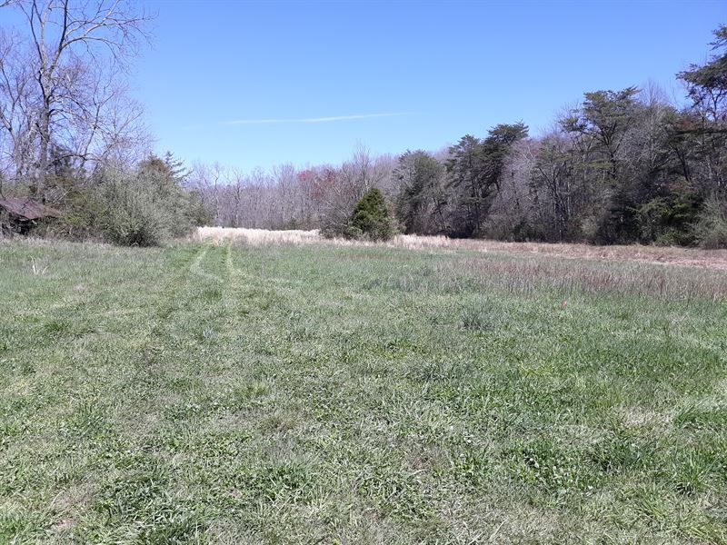No Restrictions, Creek, Small Lake : Pikeville : Bledsoe County : Tennessee