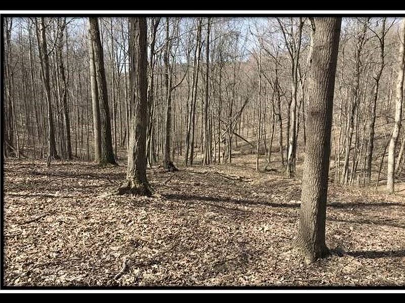Tract 12, The Woods at Pike Forest : Bainbridge : Pike County : Ohio