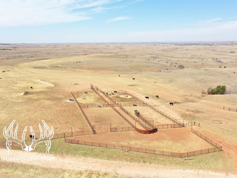 600 Acres M/L Barber County, Kansas : Sun City : Barber County : Kansas