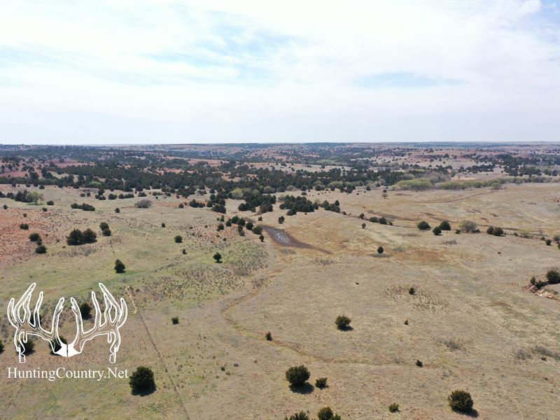 1,335 Ac M/L Barber County, Kansas : Sun City : Barber County : Kansas