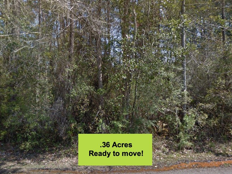 Cash Out and Move to Florida : Crestview : Okaloosa County : Florida
