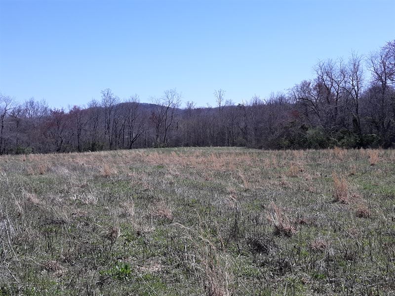 Creek, Road Frontage, Views : Pikeville : Bledsoe County : Tennessee