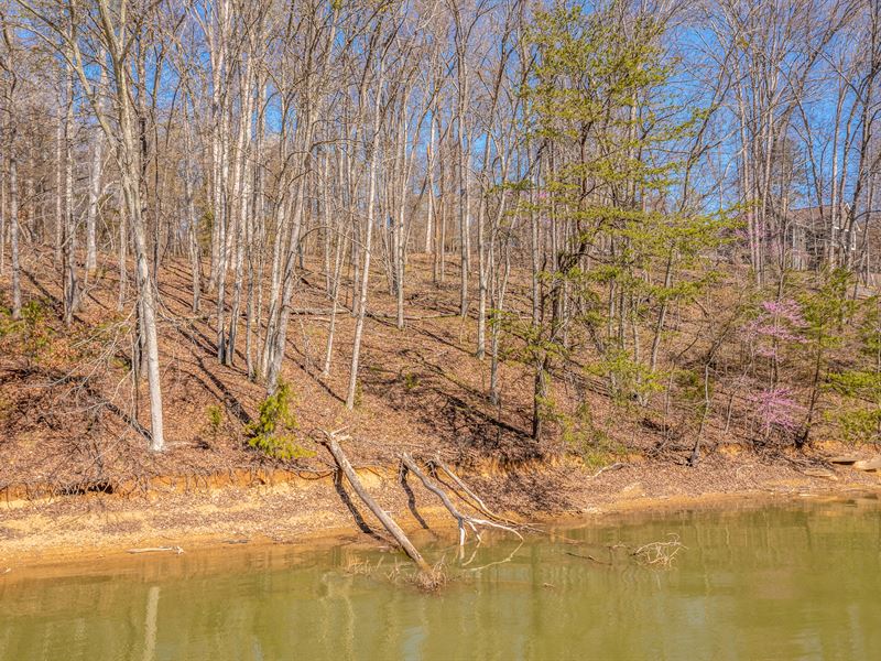 Cherokee Lake Front Lot : Mooresburg : Hawkins County : Tennessee
