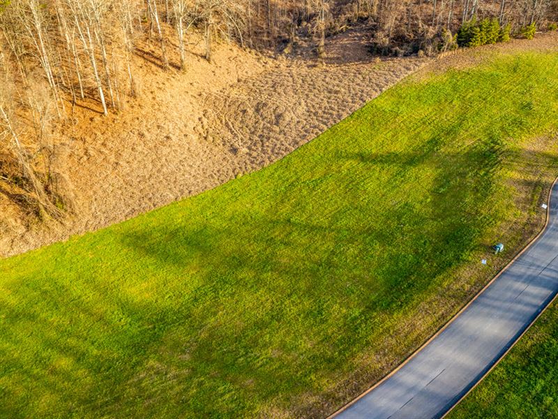 Lake View Lot Liquidation Sale : Rutledge : Grainger County : Tennessee