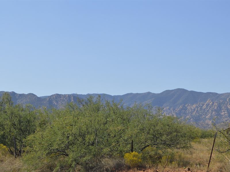 1 Plus Ac with Trees, Low Payments : Sunsites : Cochise County : Arizona
