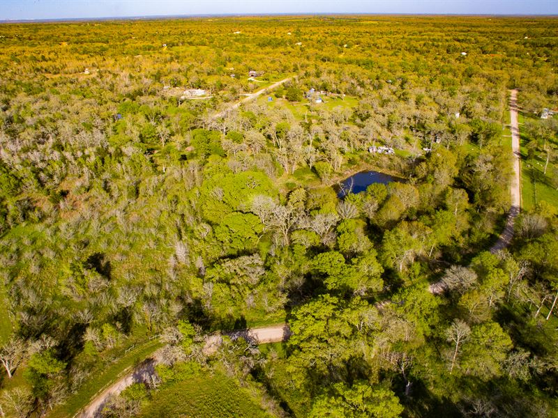 Awesome Wooded Lot in Caldwell, TX : Caldwell : Burleson County : Texas
