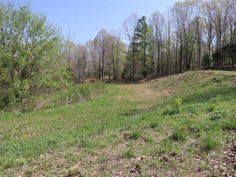 Perfect 3 Acres Your Weekend : Mountain View : Stone County : Arkansas