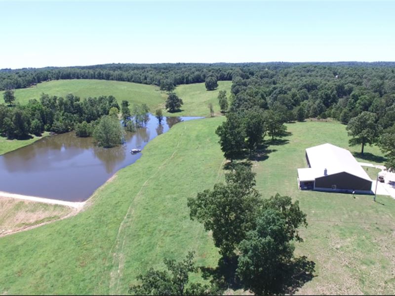 Cattle Farm in Arkansas : Oxford : Izard County : Arkansas