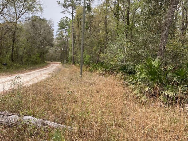 1.21 Acre Vacant Lot Suwannee River Land for Sale in Branford