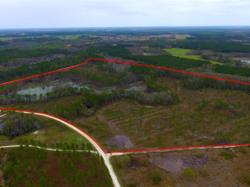 75+ Acres Beautiful Winding River : Chiefland : Levy County : Florida