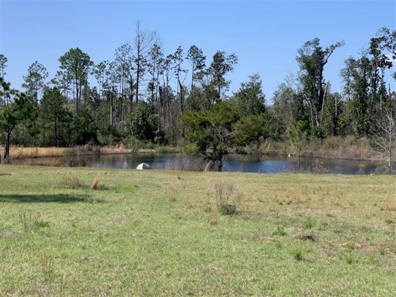 Hunting Land Jackson County, FL : Marianna : Jackson County : Florida
