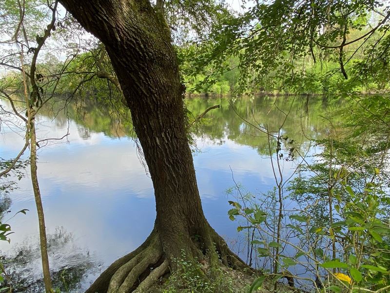 Breathtaking Riverfront Lot : Mayo : Lafayette County : Florida