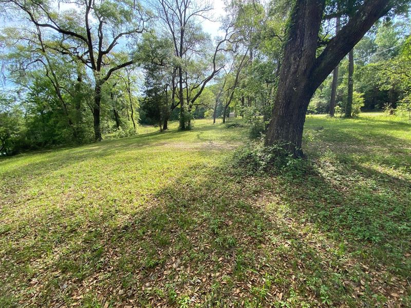 Breathtaking Riverfront Suwannee : Mayo : Lafayette County : Florida