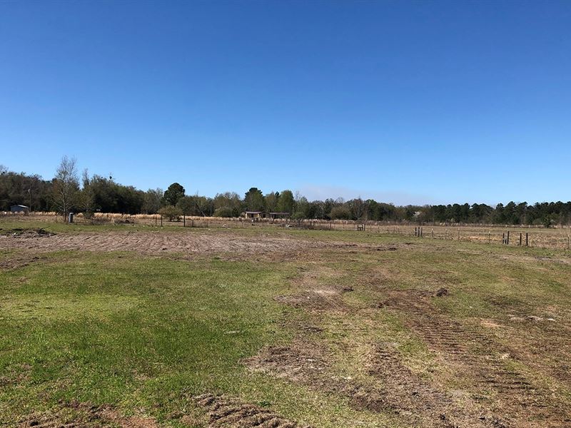 Lot Well & Septic North Florida : White Springs : Columbia County : Florida
