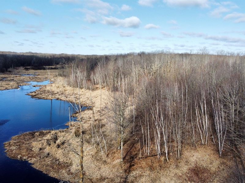 Buildable/Hunting Land Mille Lacs Land for Sale in Mora, Mille Lacs