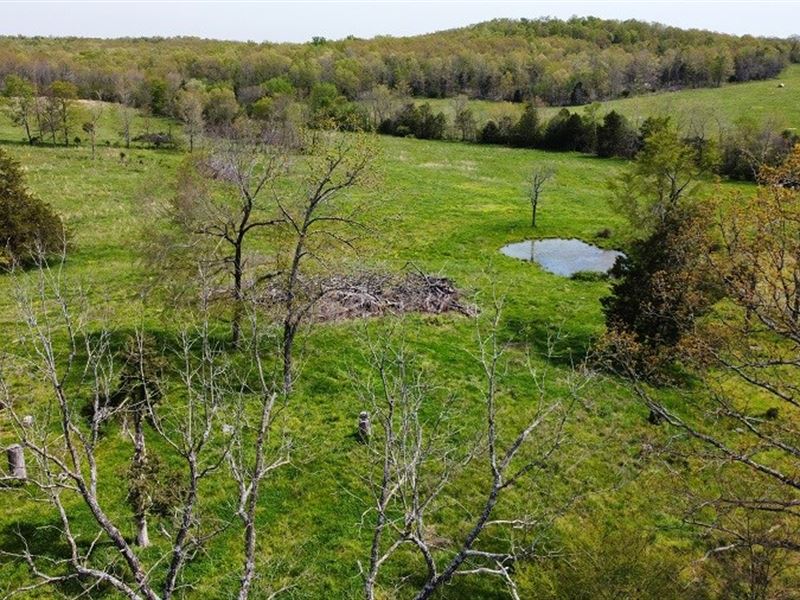 40 Acres Southeast Missouri Ozark : Doniphan : Ripley County : Missouri