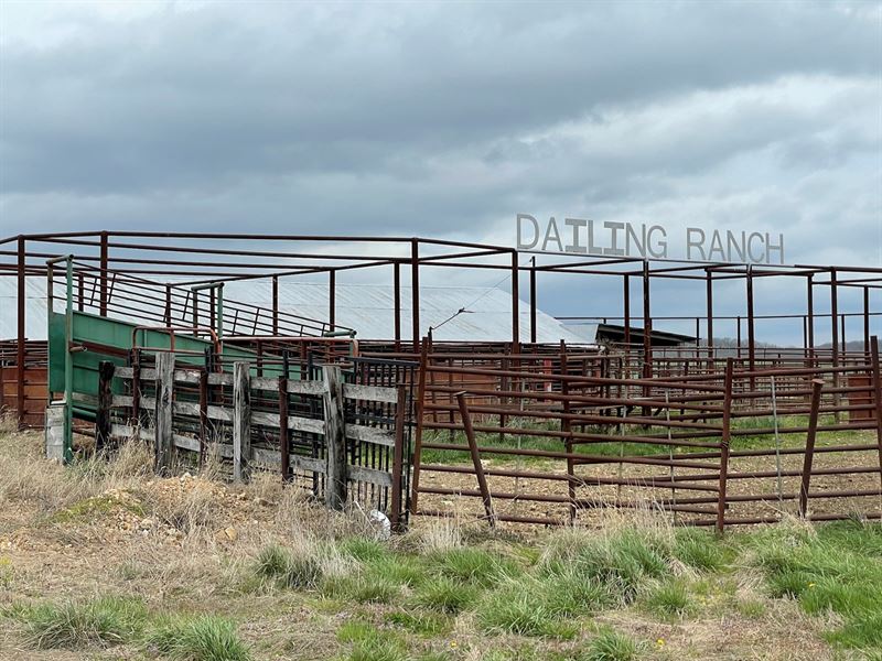 Farm & Cattle Ranch Home Texas : Plato : Texas County : Missouri