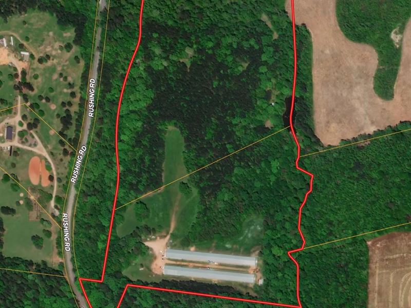 Poultry Farm in Pageland SC : Pageland : Chesterfield County : South Carolina