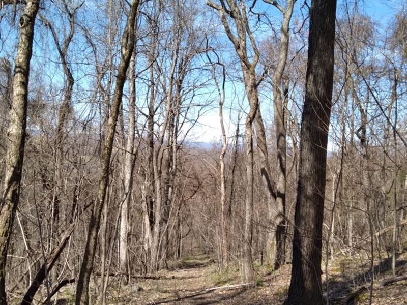 57.3 Acres Unrestricted Land Thorn : Thorn Hill : Grainger County : Tennessee