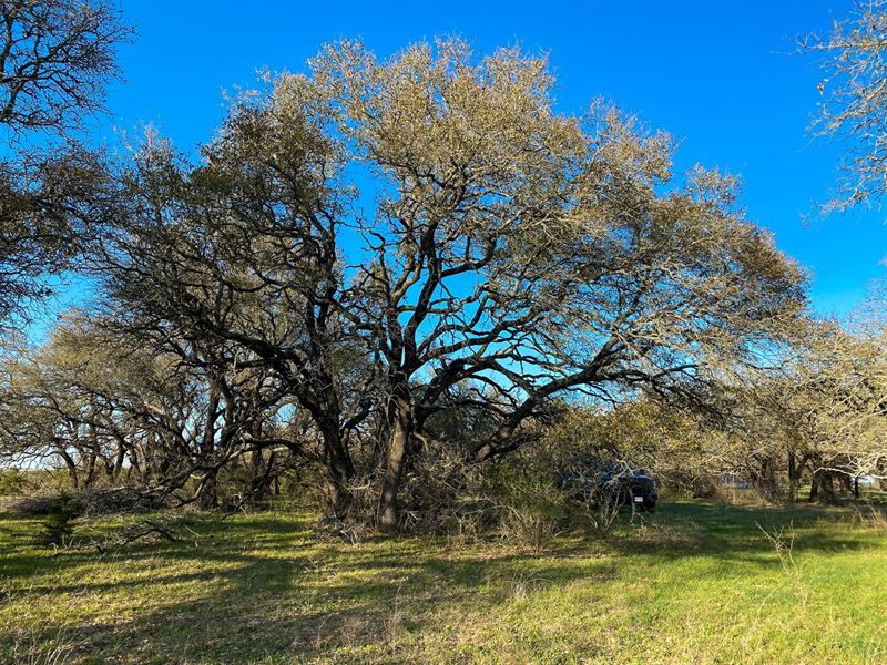 Land Texas 29 Acres Hamilton County : Purmela : Hamilton County : Texas