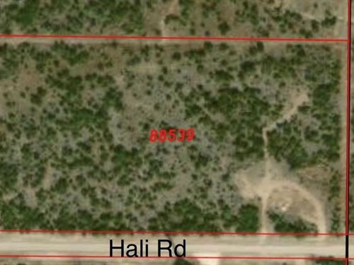 Land For Sale In Big Spring : Big Spring : Howard County : Texas