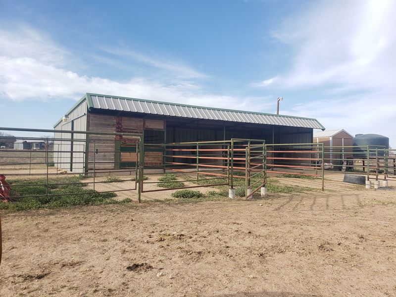 San Angelo, TX Horse Property : San Angelo : Tom Green County : Texas