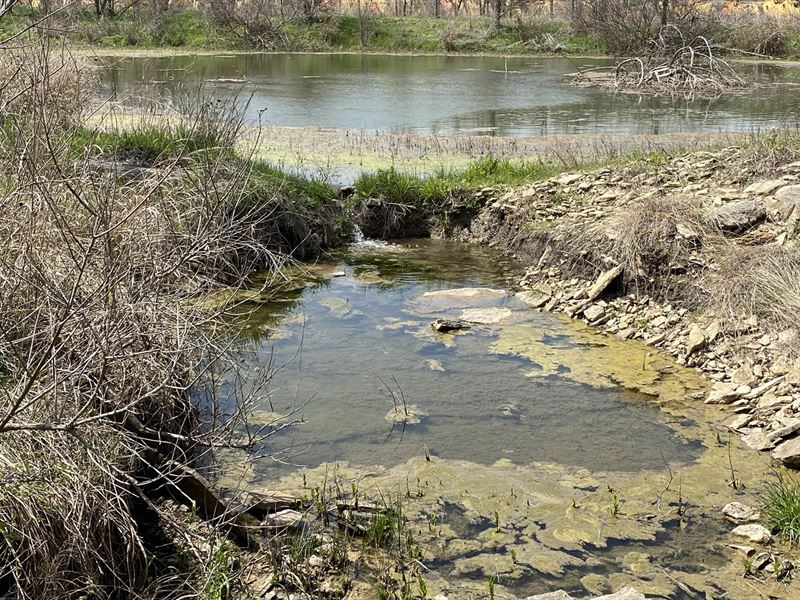 Hunting Land Central Texas, 16.137 : Jonesboro : Hamilton County : Texas